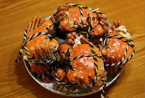 娱乐吃瓜君大闸蟹,大闸蟹背后的故事与魅力